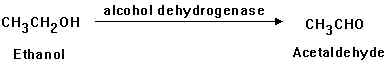organic1_1.jpg (4305 bytes)