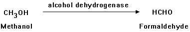 organic1_3.jpg (4018 bytes)