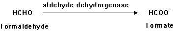 organic1_4.jpg (4035 bytes)