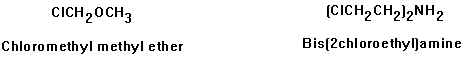 organic2_1.jpg (4872 bytes)