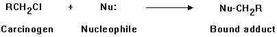 organic2_2.jpg (3585 bytes)