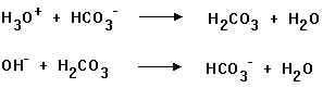 wpe5.jpg (3995 bytes)