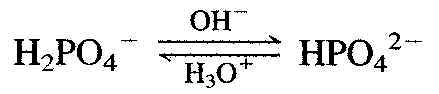 wpe8.jpg (6025 bytes)